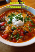 CROCK POT ENCHILADA SOUP