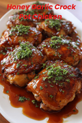 HONEY GARLIC CROCK POT CHICKEN